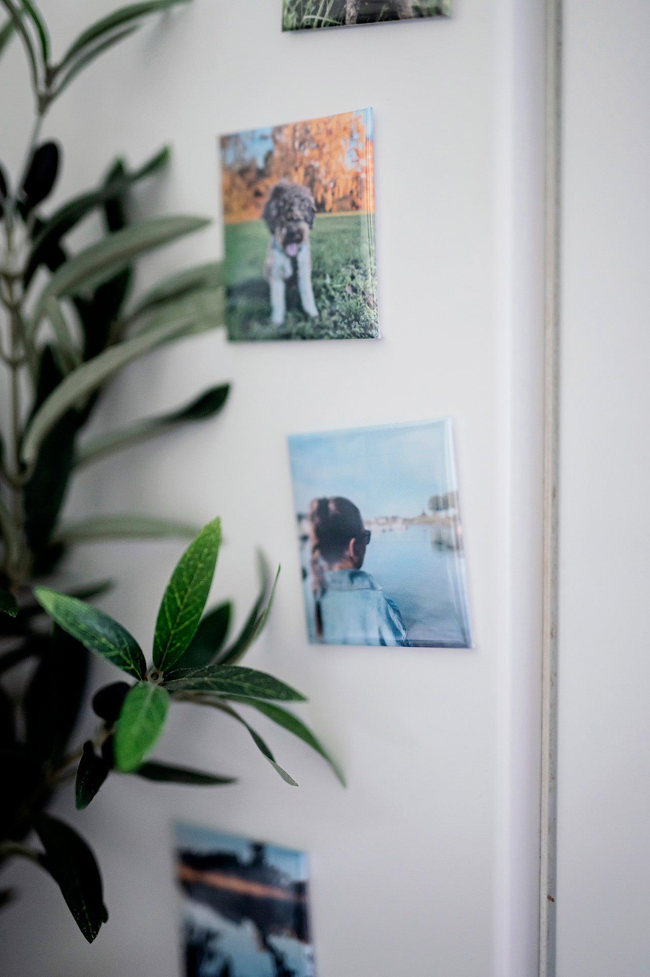 9 st Personliga fotomagneter