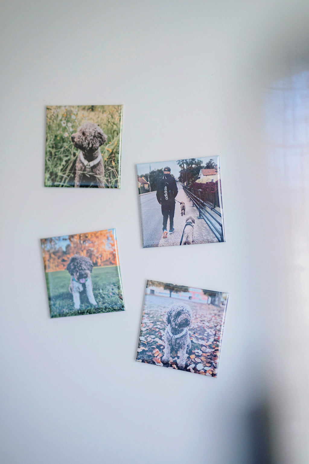 9 st Personliga fotomagneter